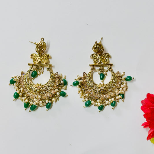Earrings ph30